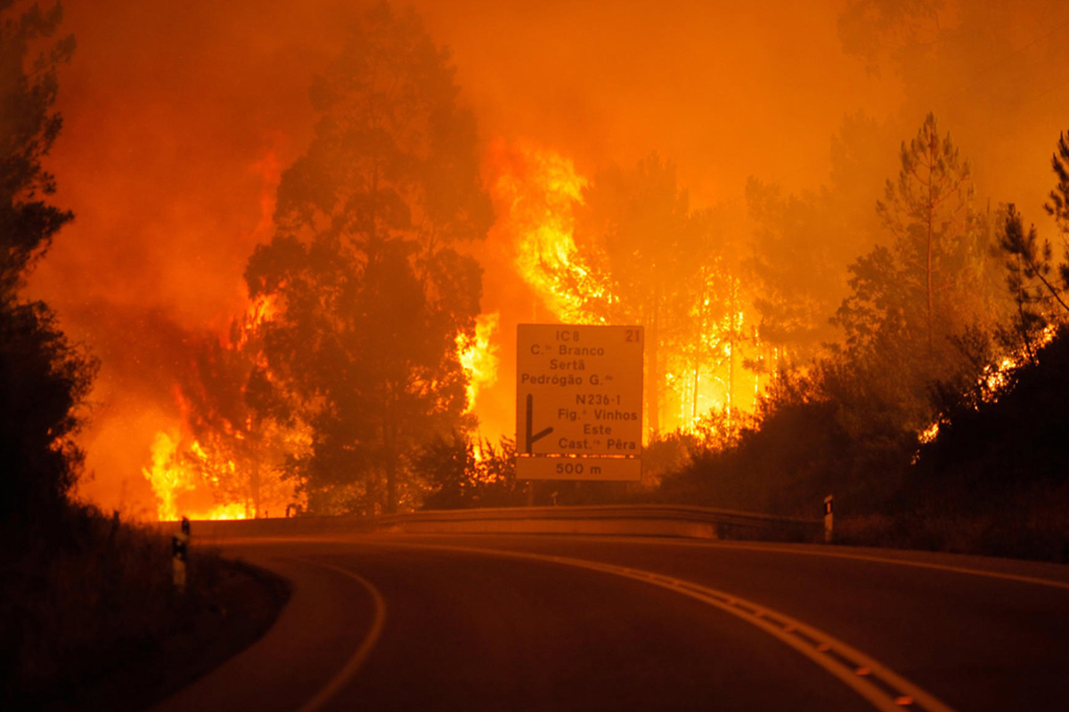 Лесной пожар в Португалии / Источник: twitter.com/CatchNewsNet